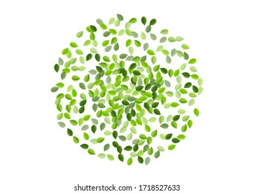 Forest Foliage Swirl Vector Border. Fly Leaves Background. Mint Greens Forest Illustration. Leaf Herbal Concept.