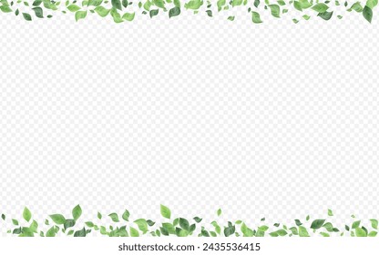 Forest Foliage Tea Vector Transparent Background Illustration. Motion Leaf Template. Olive Greenery Flying Wallpaper. Leaves Ecology Brochure.