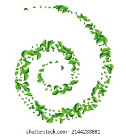 Forest Foliage Tea Vector White Background. Swirl Leaf Template. Green Leaves Ecology Plant. Greens Tree Concept.