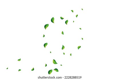 Forest Foliage Tea Vector White Background. Abstract Greens Pattern. Green Leaves Tree Illustration. Leaf Ecology Wallpaper.