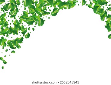 Forest Foliage Tea Vector White Background. Nature Leaves Backdrop. Green Leaf Swirl Banner. Greens Forest Template.