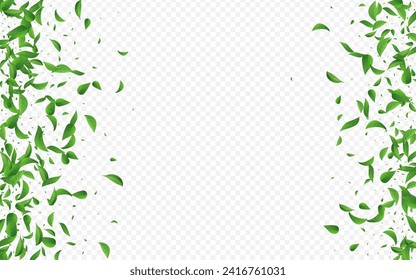Forest Foliage Transparent Vector Transparent Background Border. Fresh Greens Illustration. Swamp Leaves Herbal Pattern. Leaf Spring Brochure.