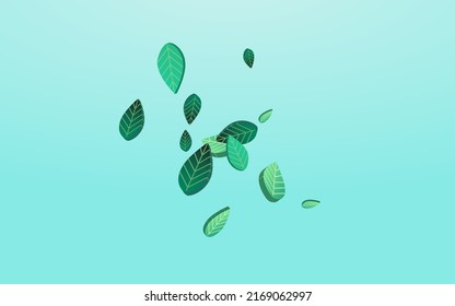 Forest Foliage Transparent Vector Blue Background Brochure. Organic Leaf Template. Lime Greens Flying Banner. Leaves Blur Plant.