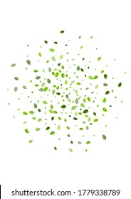 Forest Foliage Transparent Vector Branch. Swirl Greens Concept. Swamp Leaves Nature Background. Leaf Motion Wallpaper.
