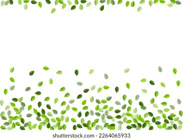 Forest Foliage Transparent Vector Poster. Motion Leaf Branch. Grassy Leaves Flying Brochure. Greens Swirl Illustration.