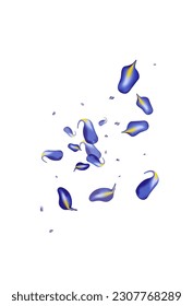 Forest Foliage Transparent Vector White Background Branch. Fresh Iris Poster. Violaceous Leaves Falling Wallpaper. Leaf Nature Concept.