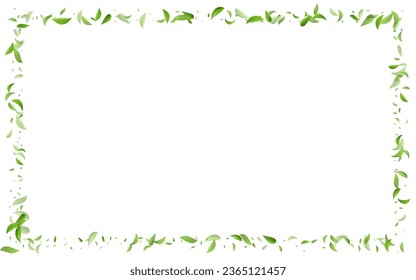 Forest Foliage Transparent Vector White Background Wallpaper. Fly Leaf Design. Green Leaves Flying Banner. Greens Spring Pattern.