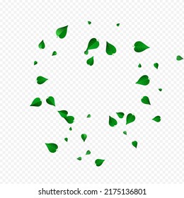 Forest Foliage Tree Vector Transparent Background Backdrop. Nature Leaf Brochure. Lime Greens Blur Concept. Leaves Transparent Plant.