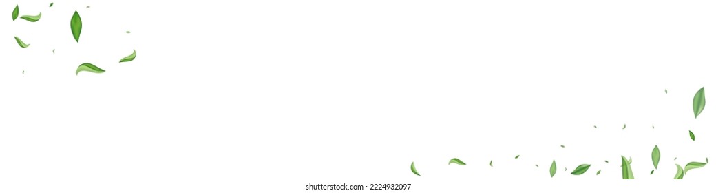 Forest Foliage Tree Vektor White Panorama Hintergrund Illustration. Falling Greens Plant. Abstraktes Banner aus dem Sumpf. Verließ die Kräuterabzweigung.