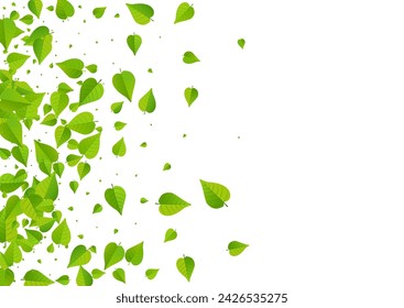 Forest Foliage Tree Vector White Background Illustration. Flying Leaf Concept. Lime Leaves Tea Template. Greens Wind Border.