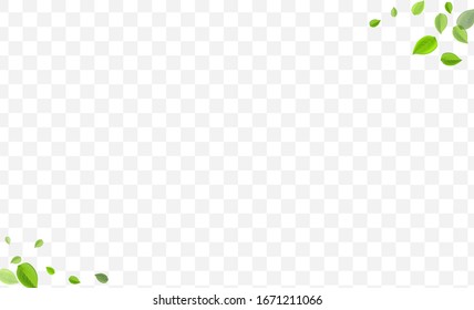 Forest Foliage Vector Design. Swamp Leaf Ecology Backdrop. Abstract Template. Mint Leaves Fly Background.