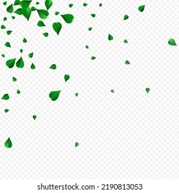 Forest Foliage Wind Vector Transparent Background Poster. Forest Leaves Brochure. Mint Greens Herbal Pattern. Leaf Falling Illustration.