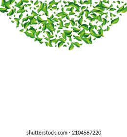 Forest Foliage Wind Vector White Background. Falling Leaves Illustration. Green Leaf Abstract Backdrop. Greens Motion Design.