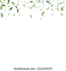 Forest Foliage Wind Vector White Background Backdrop. Fly Leaf Banner. Swamp Leaves Flying Template. Greens Spring Design.