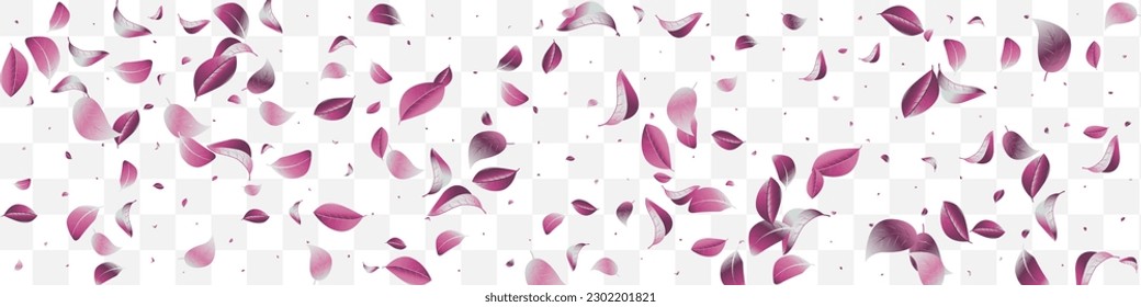 Forest Foliage Wind Vector White Transparent Panoramic Background Branch. Organic Leaf Design. Lilac Iris Realistic Pattern. Leaves Flying Concept.
