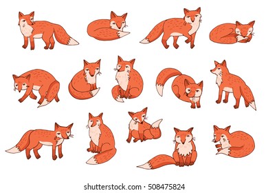 forest fox vector color set