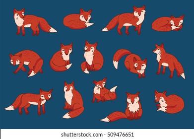 forest fox vector color set