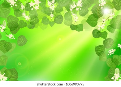 Forest fresh green leaves with sun rays. Spring and Summer Background