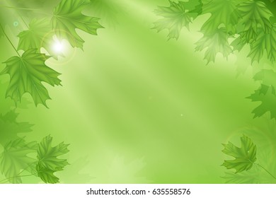 Forest fresh green leaves with sun rays. Spring and Summer Background.