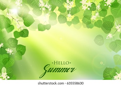 Forest fresh green Linden leaves and flowers with sun rays. Spring and Summer Background.