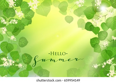 Forest fresh green Linden leaves and flowers with sun rays. Spring and Summer Background. 