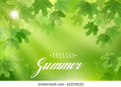 Forest fresh green Maple leaves with sun rays. Spring and Summer Background.