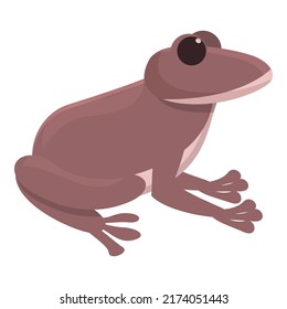 Forest frog icon cartoon vector. Cute character. Life animal