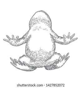 Forest Frog line illustration in grey.  Magic anuran or poison toad hand drawing. Witchcraft, voodoo magic attribute. Illustration for Halloween. Vector.