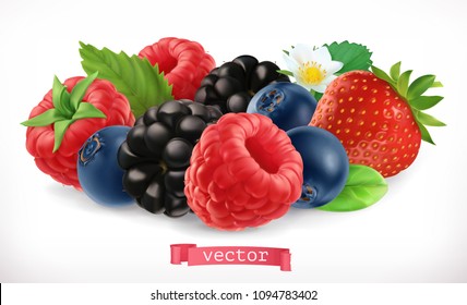 Forest fruits and berries. Raspberry, strawberry, blackberry, blueberry. 3d realistic vector icon
