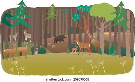 Forest full of animals