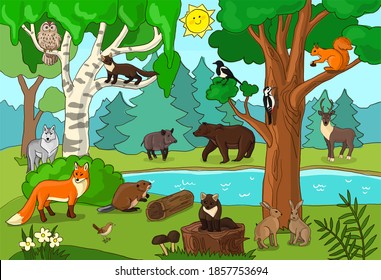 forest glade and animals vector image