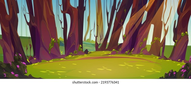 Forest glade cartoon nature background, summer landscape with deciduous tree trunks, green meadow with grass, bushes, flowers and sunlight spots on ground. Scenery fairy wood vector illustration