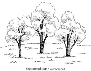 Forest glade graphic black white landscape sketch illustration vector 