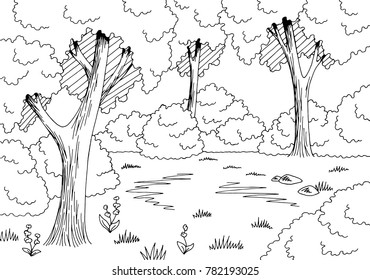 Forest glade graphic black white landscape sketch illustration vector