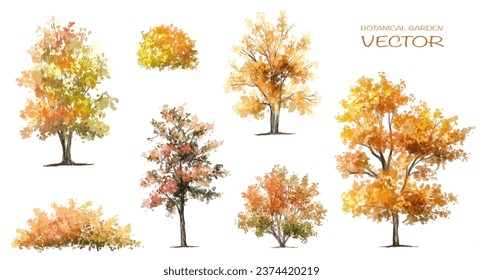 forest with grass elevation for landscape scene,watercolor plant for architecture drawing, environment and garden,botanical elements ,blooming tree in autumn 