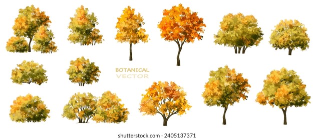 forest with grass elevation for landscape scene,watercolor plant for architecture drawing, environment and garden,botanical elements ,blooming tree in autumn 