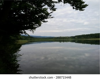 forest grassland clouds reflection on water lake vector illustration