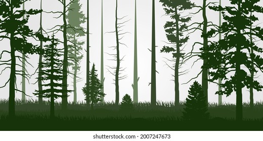 Forest Green Branch Tree or Naked trees silhouettes set. Hand drawn isolated illustrations.