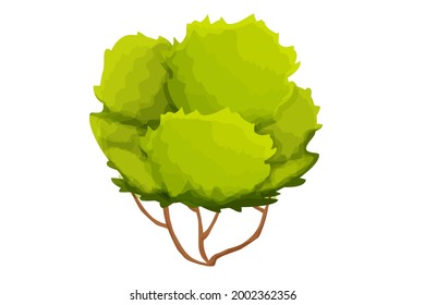 Forest green bush, curved trunk and foliage in cartoon style isolated on white background. Natural element, landscape object