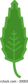 Forest green leaf, illustration, on a white background.