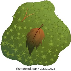 Forest green moss with a leaf