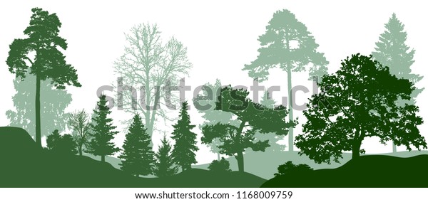 森の緑の木のシルエット 自然 公園 ベクター画像の背景 のベクター画像素材 ロイヤリティフリー