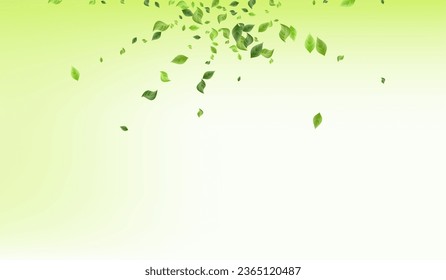 Forest Greenery Fresh Vector Green Background Wallpaper. Spring Leaf Illustration. Lime Foliage Organic Backdrop. Leaves Nature Pattern.