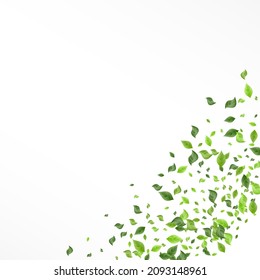 Forest Greenery Herbal Vector White Background Border. Falling Foliage Backdrop. Swamp Leaf Swirl Brochure. Leaves Motion Concept.