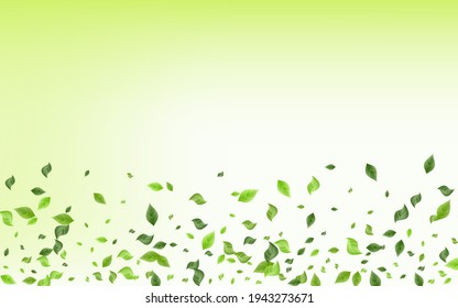 Ilustración del fondo verde de la naturaleza del vector de vegetación forestal. Papel tapiz de follaje ecológico. Planta De Movimiento Lime Leaf. Deja Plantilla Realista.