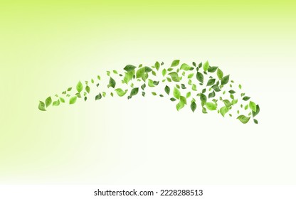 Forest Greenery Organic Vector Green Background Banner. Swirl Foliage Poster. Swamp Leaves Spring Template. Leaf Falling Design.