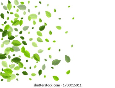 Forest Greens Abstract Vector Concept. Motion Leaf Plant. Green Leaves Tea Banner. Foliage Organic Pattern.
