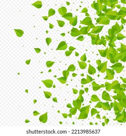 Forest Greens Blur Vector Transparent Background Plant. Herbal Leaf Branch. Grassy Leaves Tea Banner. Foliage Falling Backdrop.