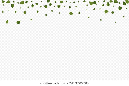 Forest Greens Blur Vector Transparent Background Concept. Flying Foliage Illustration. Olive Leaf Spring Backdrop. Leaves Organic Branch.