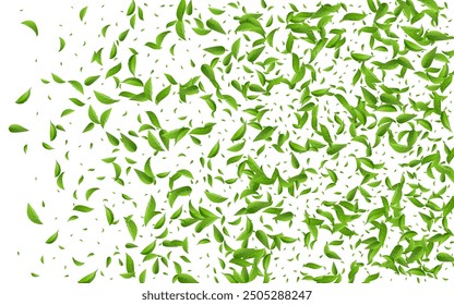 Forest Greens Blur Vector White Background Concept. Wind Leaf Template. Swamp Foliage Ecology Plant. Leaves Organic Backdrop.